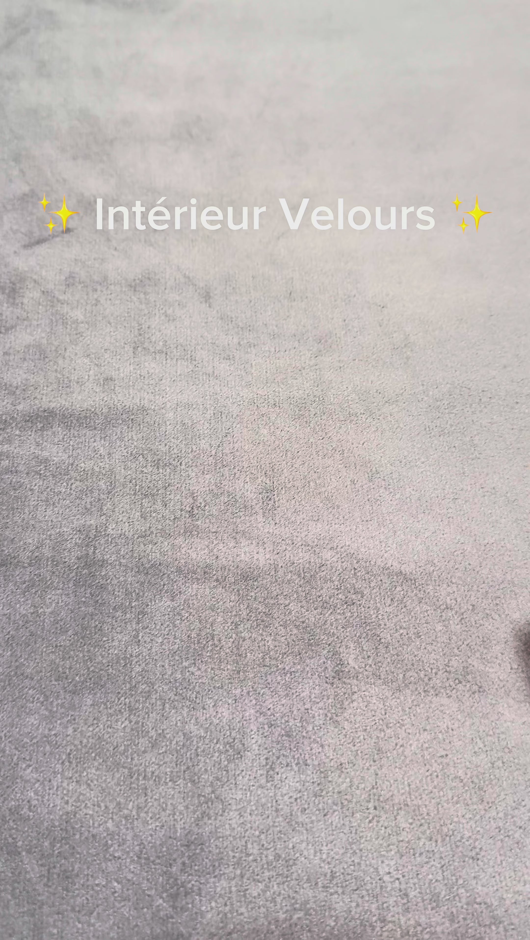 Collection Velours 🪶 (gris)